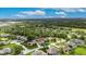 This aerial view displays a community with green lawns, homes, and trees with agricultural fields off in the distance at 3004 Spring Hammock Dr, Plant City, FL 33566