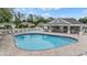 Community pool with lounging area, tables, and shaded seating at 5116 Gato Del Sol Cir, Wesley Chapel, FL 33544