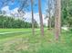 View of the backyard with mature trees and lush landscaping at 5526 Braddock Dr, Zephyrhills, FL 33541