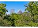 A beautiful city view from the property framed by lush trees and greenery at 804 S Davis Blvd, Tampa, FL 33606