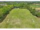 Aerial view of the community soccer field at 8202 Pinewood Run Ct, Tampa, FL 33647