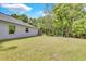 Large, well-maintained backyard with green grass and privacy provided by mature trees, ideal for recreation and relaxation at 8202 Pinewood Run Ct, Tampa, FL 33647