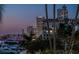 Beautiful skyline view with palm trees in the foreground and boats in the water at 927 Anchorage Rd, Tampa, FL 33602