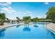 An inviting large swimming pool area featuring crystal clear water, many palm trees, and comfortable lounge chairs for relaxation at 9396 Minnow Ray Dr, Land O Lakes, FL 34638