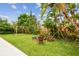 Lush backyard with mature trees features a swing set, sandbox, and adirondack chairs at 10223 Charleston Corner Rd, Tampa, FL 33635