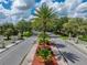 Street view of beautifully landscaped road with palm trees and well maintained lawns at 10324 Chatuge Dr, San Antonio, FL 33576