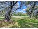 Picture of a large grassy backyard surrounded by shady trees and lush landscaping at 16501 Sandhill Crane Dr, Spring Hill, FL 34610