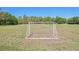 A well-maintained soccer field with a goal, perfect for community games and recreational activities at 17712 Long Ridge Rd, Tampa, FL 33647
