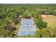A beautiful aerial view of four community tennis courts, surrounded by greenery and trees at 17712 Long Ridge Rd, Tampa, FL 33647