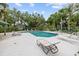 Relaxing pool area surrounded by lounge chairs, perfect for enjoying the sunshine and outdoor recreation at 235 Woodridge Cir, Oldsmar, FL 34677