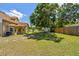 Large backyard with a covered patio, surrounded by lush greenery, mature trees, and privacy fencing at 24231 Satinwood Ct, Lutz, FL 33559