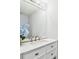 Bathroom vanity with sink, mirror, and white cabinets, complemented by blue floral decor at 24231 Satinwood Ct, Lutz, FL 33559