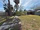 Large backyard with sparse grass, trees, and dilapidated lumber at 6706 Del Prado Ter, New Port Richey, FL 34652