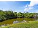Scenic view of a lush pond surrounded by greenery and a bright blue sky at 9100 Dr Martin Luther King Jr N St # 314, St Petersburg, FL 33702