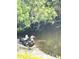 Two ducks at a pond's edge, surrounded by lush plants and serene water at 9100 Dr Martin Luther King Jr N St # 314, St Petersburg, FL 33702