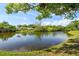 A serene water view of pond from the shoreline, surrounded by mature trees and grass at 9100 Dr Martin Luther King Jr N St # 314, St Petersburg, FL 33702