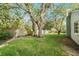 Spacious backyard with mature trees and a wooden fence for privacy at 14 Idlewilde Dr, Safety Harbor, FL 34695