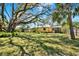 Lush back yard with mature trees providing ample shade for outdoor activities and relaxation at 2049 Broadway, Clearwater, FL 33755