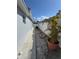 Side yard with a concrete path and privacy fence, accented with a potted palm tree at 2117 W Clifton St, Tampa, FL 33603