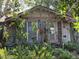 Charming home obscured by lush greenery in a natural Florida landscape at 2451 Quincy S St, St Petersburg, FL 33711