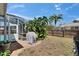 Green backyard with a screened-in patio, palm trees and a well-maintained lawn at 4017 3Rd E Ave, Bradenton, FL 34208