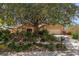 Charming single-story home with beautiful landscaping and mature shade tree in front yard at 4868 Lake Valencia E Blvd, Palm Harbor, FL 34684
