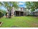 Large grass backyard featuring mature tree, screen patio, and space for entertaining at 5949 Parkset Dr, Lithia, FL 33547