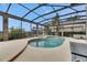 Enclosed pool and spa area with tropical landscaping, providing a private oasis for relaxation and recreation at 6301 Marbella Blvd, Apollo Beach, FL 33572