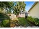 Secluded backyard with lush foliage and tropical trees offers privacy and shade at 772 Live Oak Ne Ter, St Petersburg, FL 33703