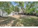 Large backyard with mature trees and a wooden fence, providing a private outdoor space at 805 E Elm St, Tampa, FL 33604