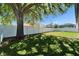 Fenced backyard with shade tree and view of neighboring houses at 9504 Laurel Ledge Dr, Riverview, FL 33569