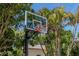 Outdoor basketball hoop with a clear backboard and orange rim, set against a backdrop of lush palm trees and blue sky at 102 Crestwood Ln, Largo, FL 33770