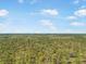 An aerial image of lush green tree tops at 10423 Sand Lark Ave, Weeki Wachee, FL 34614