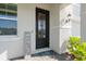 Elegant front door with glass panels, decorative welcome mat, and charming exterior lighting fixture at 10814 Whitland Grove Dr, Riverview, FL 33578