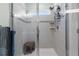 Beautifully tiled walk-in shower with glass door and built-in shelves at 10814 Whitland Grove Dr, Riverview, FL 33578