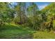 A lush green backyard with mature trees, flowering bushes, and partial shade at 11611 Meridian Point Dr, Tampa, FL 33626