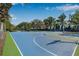 Outdoor community basketball court, painted in blue and green, surrounded by trees and landscaping at 11611 Meridian Point Dr, Tampa, FL 33626