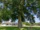 Yard with a large tree in front of a house featuring a screened in patio and swimming pool at 1292 Myers Rd, Brooksville, FL 34602