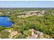 Gorgeous aerial view of property surrounded by lush trees and lake at 13806 Sumac Pl, Tampa, FL 33625