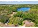 Expansive aerial view of beautiful home and lake surrounded by lush greenery at 13806 Sumac Pl, Tampa, FL 33625