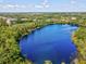 Bright aerial view of a gorgeous lake surrounded by lush greenery at 13806 Sumac Pl, Tampa, FL 33625