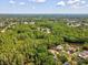 Expansive aerial view of a home nestled among lush greenery and a serene pond at 13806 Sumac Pl, Tampa, FL 33625