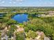 Breathtaking aerial view of stunning home, lake, and neighborhood at 13806 Sumac Pl, Tampa, FL 33625