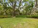 Expansive backyard featuring lush grass and beautiful mature trees for privacy and shade at 13806 Sumac Pl, Tampa, FL 33625
