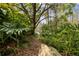 Lush greenery surrounds the home, offering a peaceful retreat with access to the lake at 13806 Sumac Pl, Tampa, FL 33625
