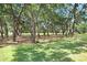 Lush backyard featuring mature trees for shade and well-manicured green grass at 2418 Lake Woodberry Cir, Brandon, FL 33510