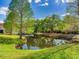 Scenic view of a tranquil pond surrounded by lush greenery and mature trees, reflecting the sky at 30340 Elderwood Dr, Wesley Chapel, FL 33543