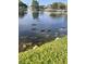 Scenic lake view with ducks swimming peacefully, complemented by a lush green shoreline and a distant fountain at 5557 Sea Forest Dr # 216, New Port Richey, FL 34652
