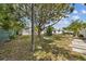 Expansive backyard featuring mature trees, a cozy fire pit area, and ample space for outdoor activities and relaxation at 5805 S Hubert Ave, Tampa, FL 33616