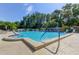 Community pool area offers clear water and ample lounge seating at 612 Fairmont Ave # D, Safety Harbor, FL 34695